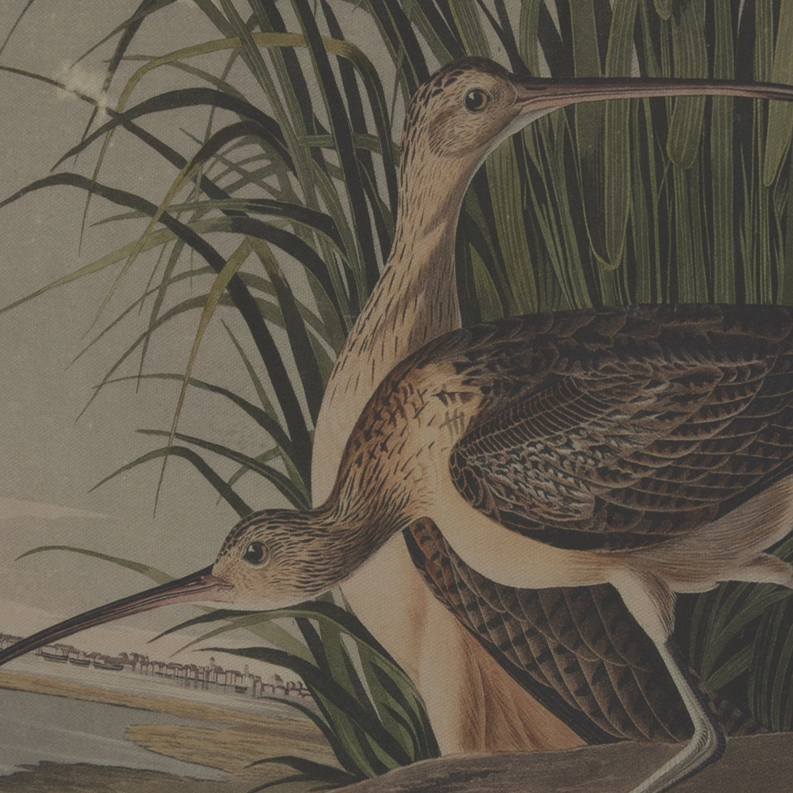 Flora & Fauna Collection Curlews On Linen In Beaded Frame Makur Interior