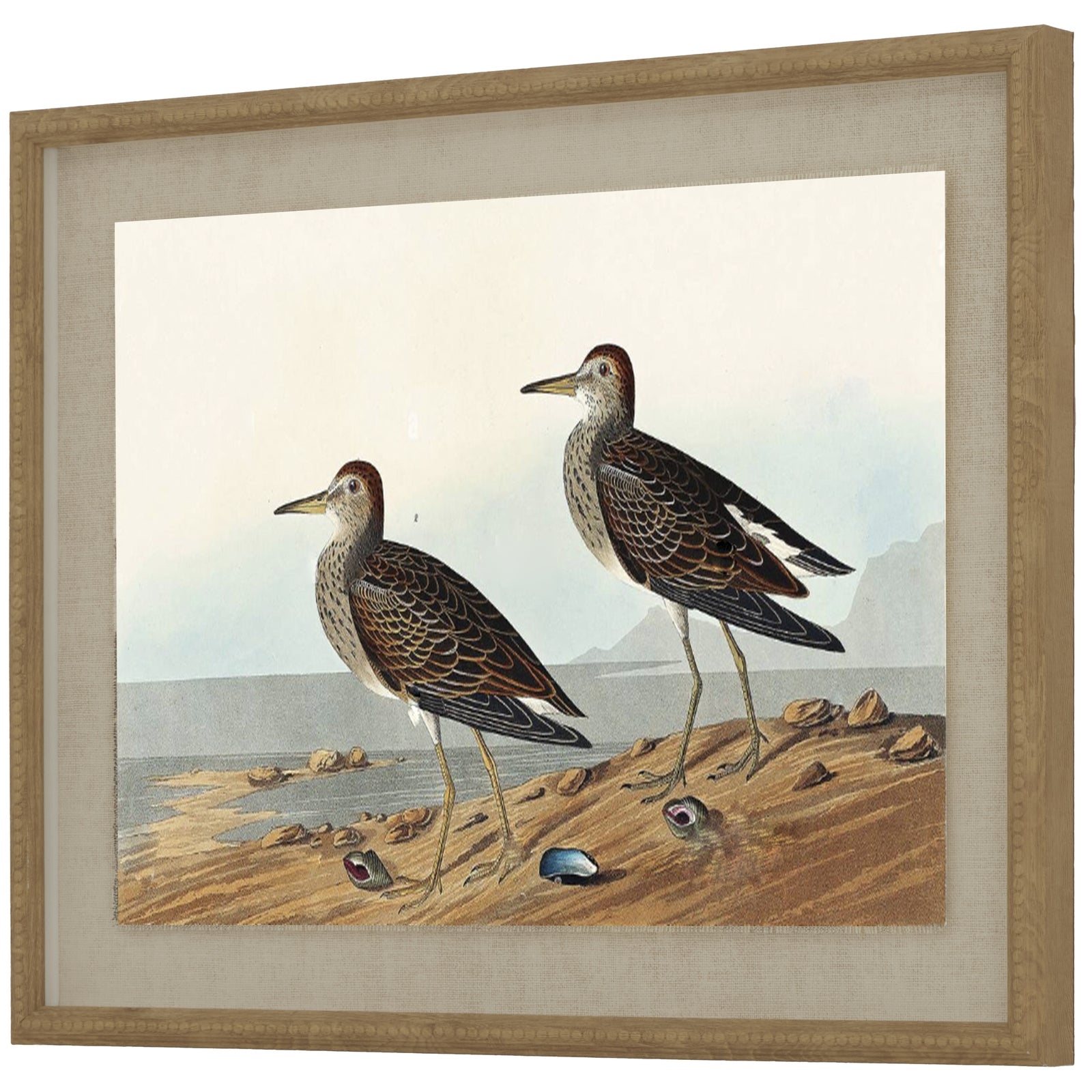 Flora & Fauna Collection Sandpipers On Linen In Beaded Frame Makur Interior