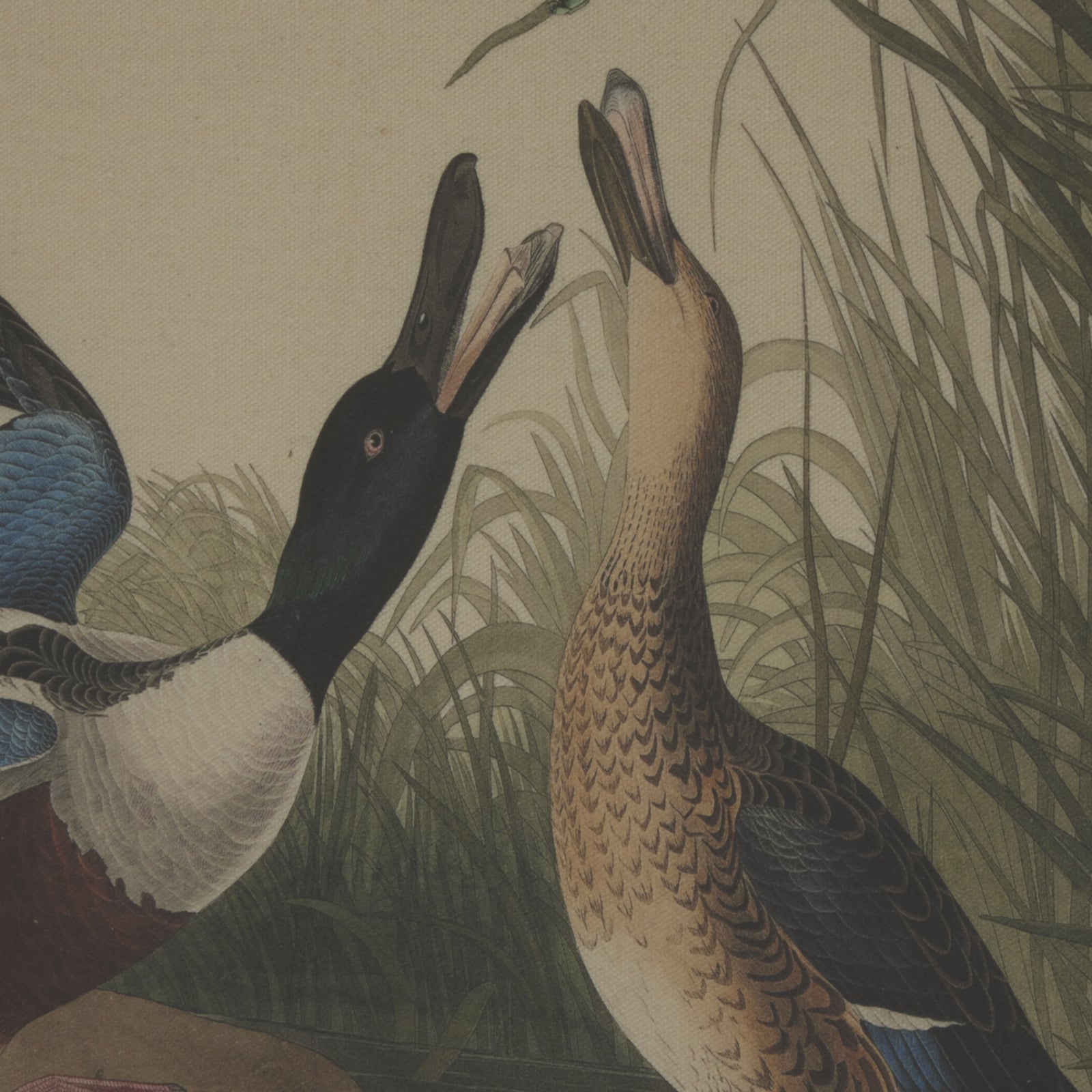 Flora & Fauna Collection Mallards On Linen In Beaded Frame Makur Interior