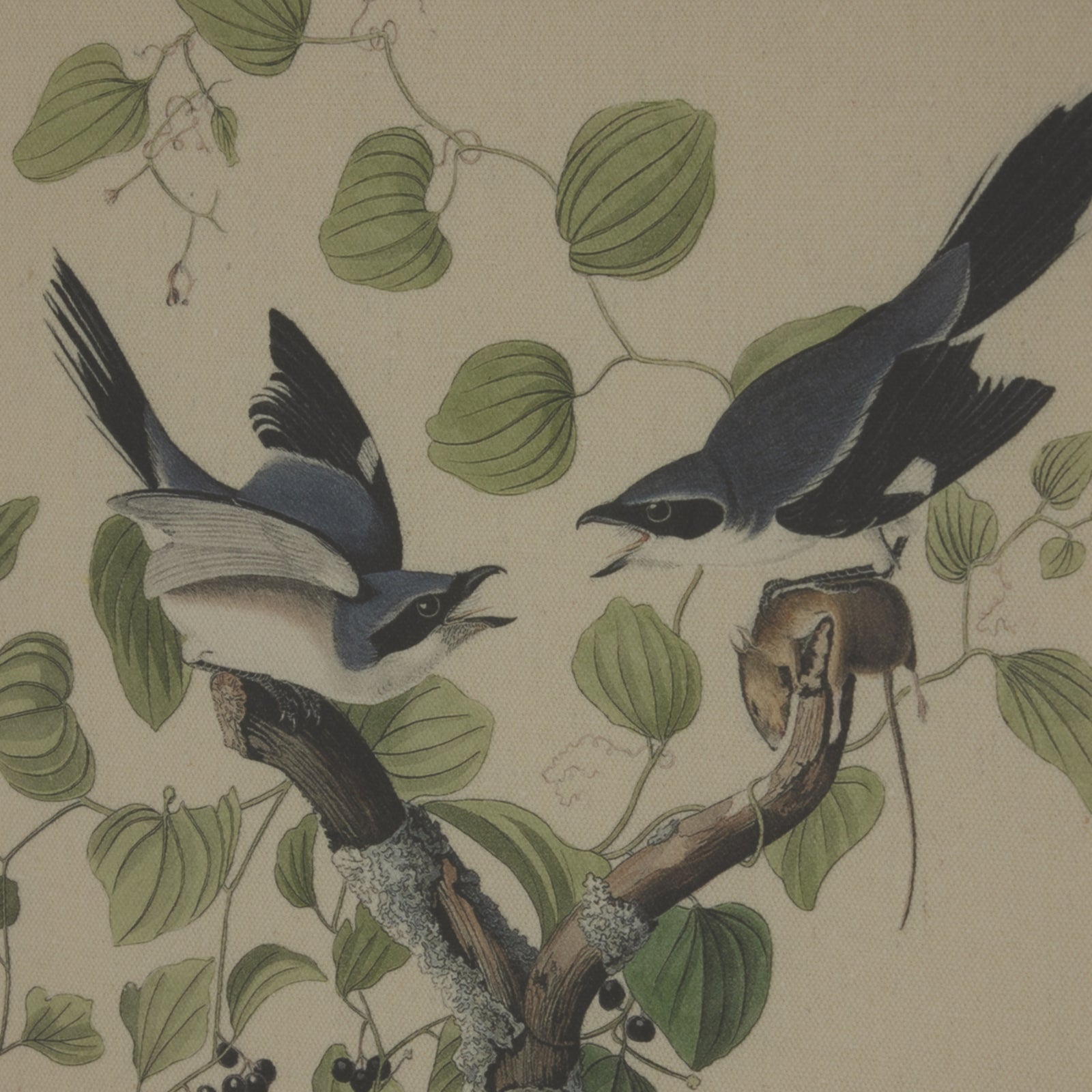 Flora & Fauna Collection Shrikes On Linen In Beaded Frame Makur Interior