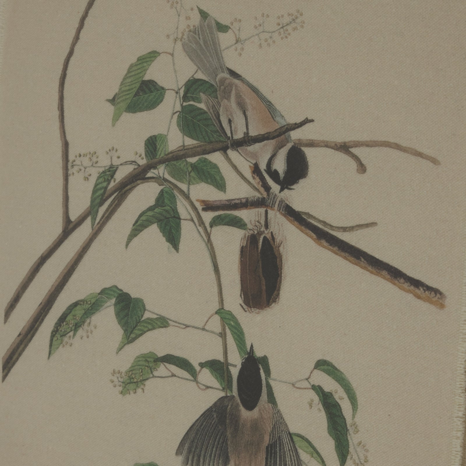 Flora & Fauna Collection Chickadees On Linen In Beaded Frame Makur Interior