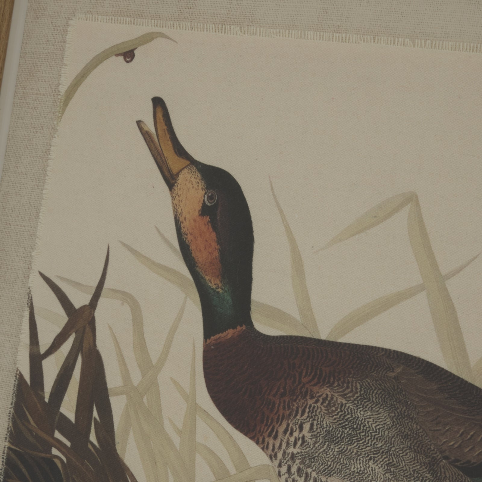 Flora & Fauna Collection Duck On Linen In Beaded Frame Makur Interior