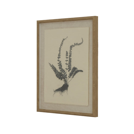 Flora & Fauna Collection Spleenwort On Linen In Beaded Frame Makur Interior