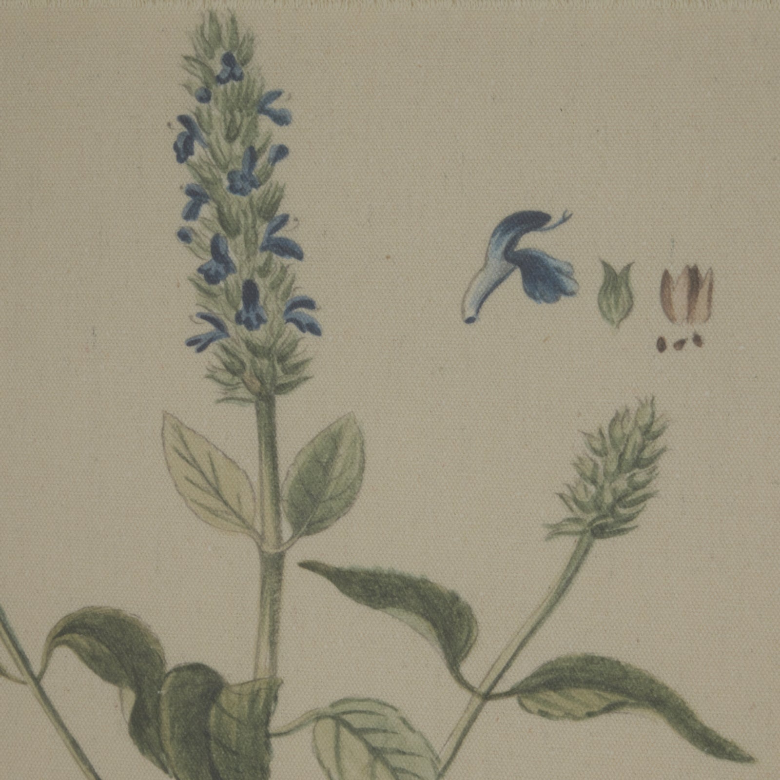 Flora & Fauna Collection Salvia On Linen In Beaded Frame Makur Interior