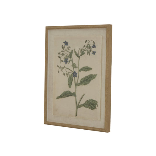 Flora & Fauna Collection Borage On Linen In Beaded Frame Makur Interior